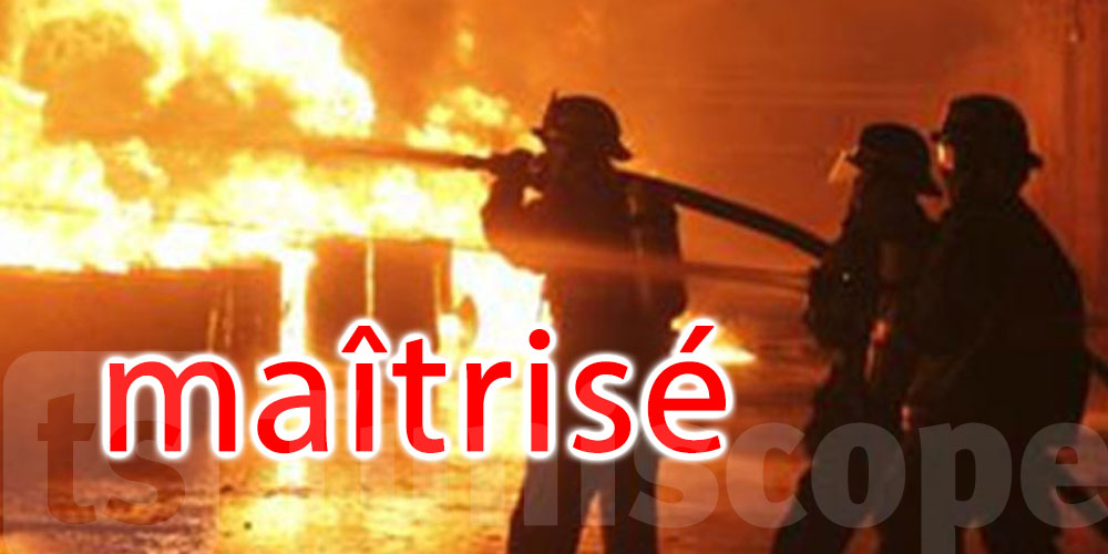 Tunisie : L'incendie de Djebel El Marra à Medjez El Bab totalement maitrisé